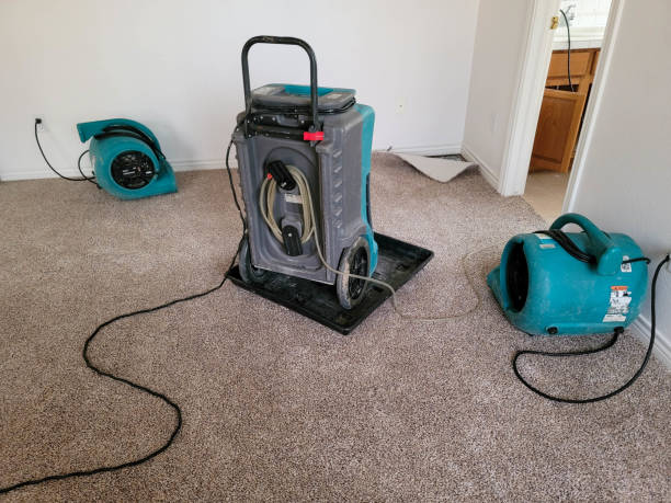 Best Sewage cleanup and water damage restoration  in Laflin, PA