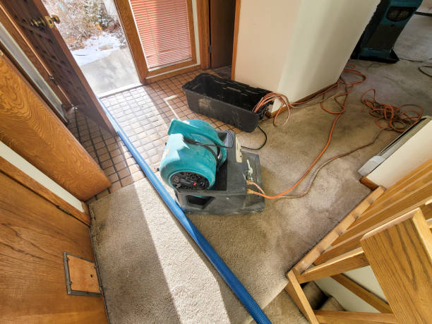 Best Water damage restoration insurance claims  in Laflin, PA