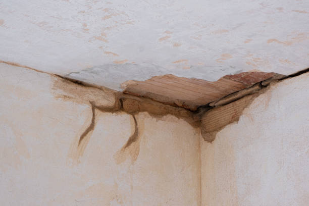 Best Commercial water damage restoration  in Laflin, PA