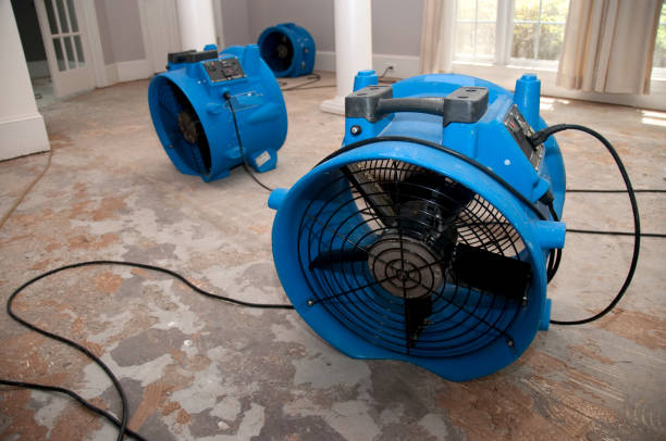 Best Fire Damage Restoration  in Laflin, PA