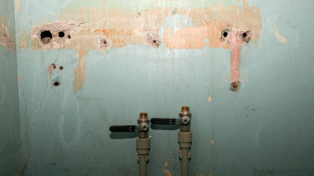 Best Local water damage restoration  in Laflin, PA