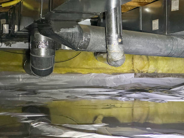 Best Water damage mitigation services  in Laflin, PA