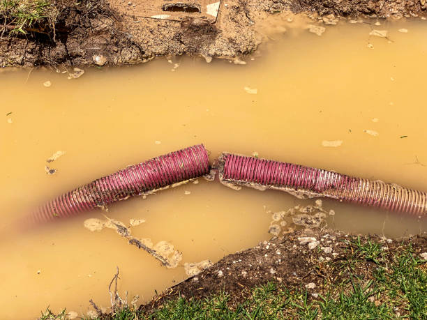 Best Water damage restoration mold remediation  in Laflin, PA