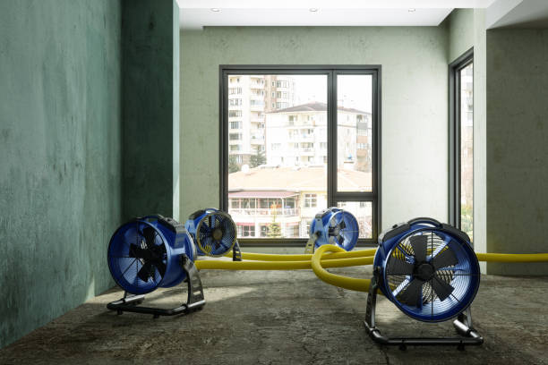 Best Professional water damage repair  in Laflin, PA