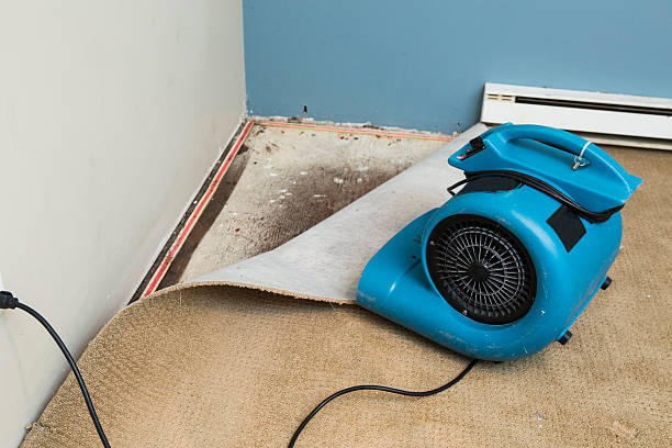 Best Ceiling water damage repair  in Laflin, PA